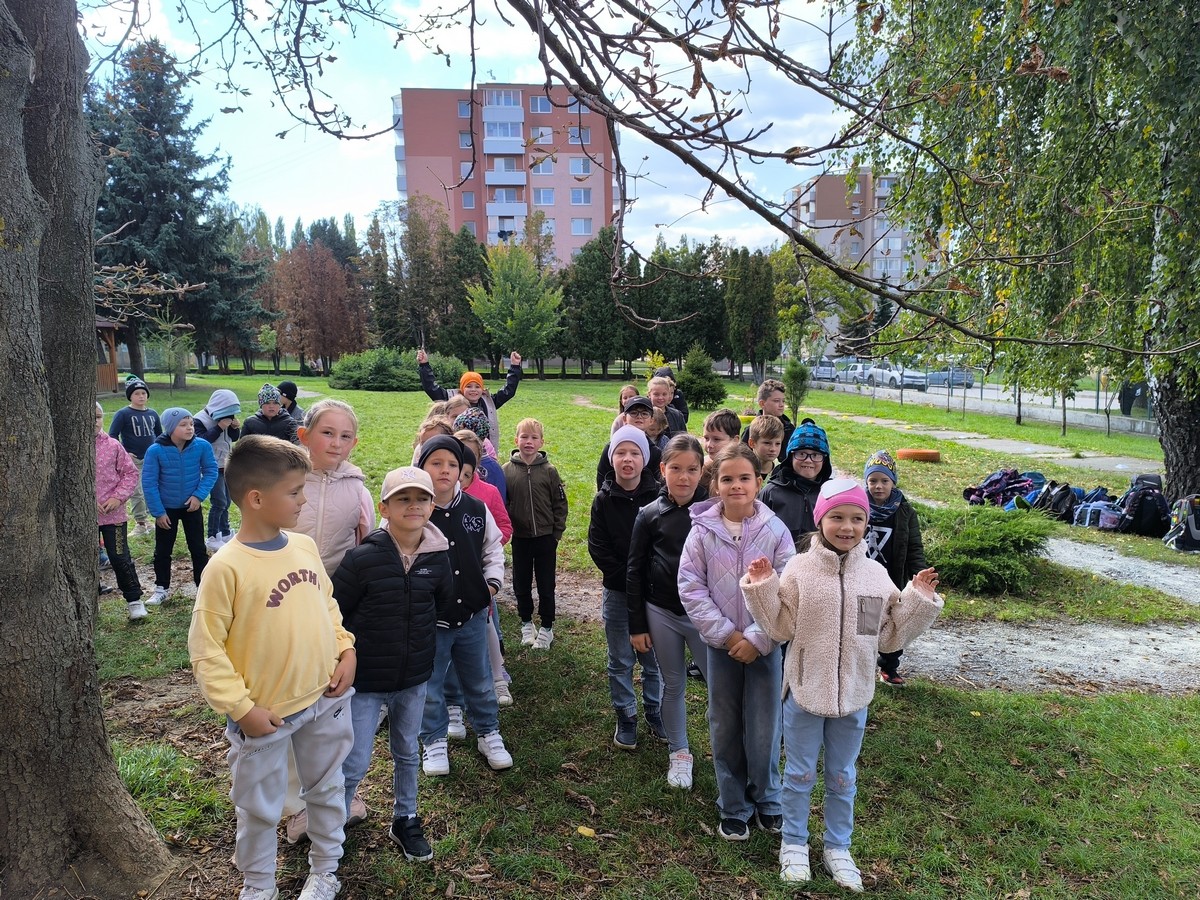 IMG 20251002 140744