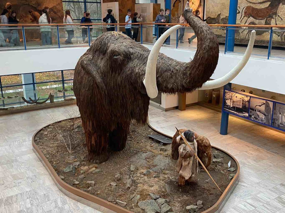 Messenger creation BE7D0944 13F3 4976 AE27 662D91DF2EC5