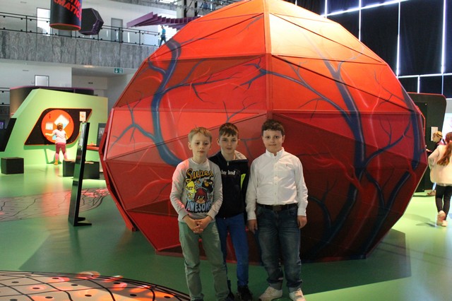 IMG 4702